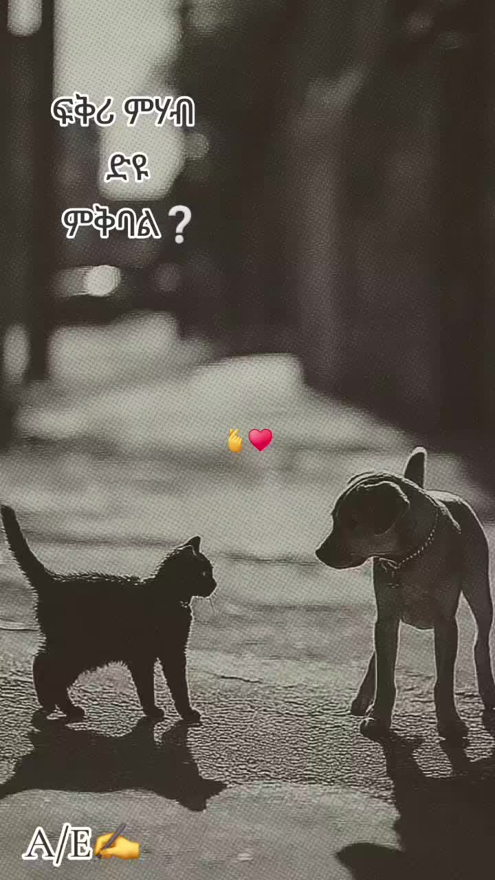 @ኣቢ ሊባናይ🇪🇷🌹🇳🇱♥️💯💒✝️✅