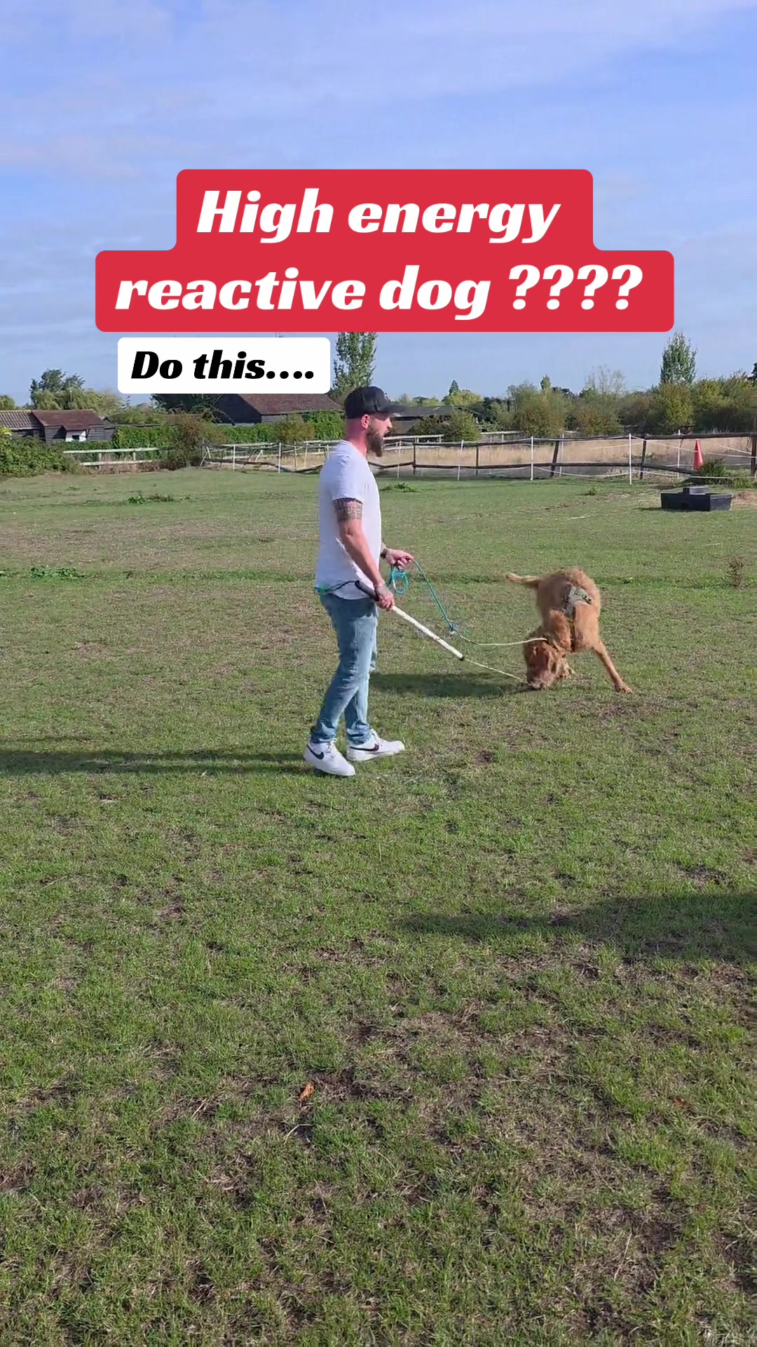 @SouthendDogTraining