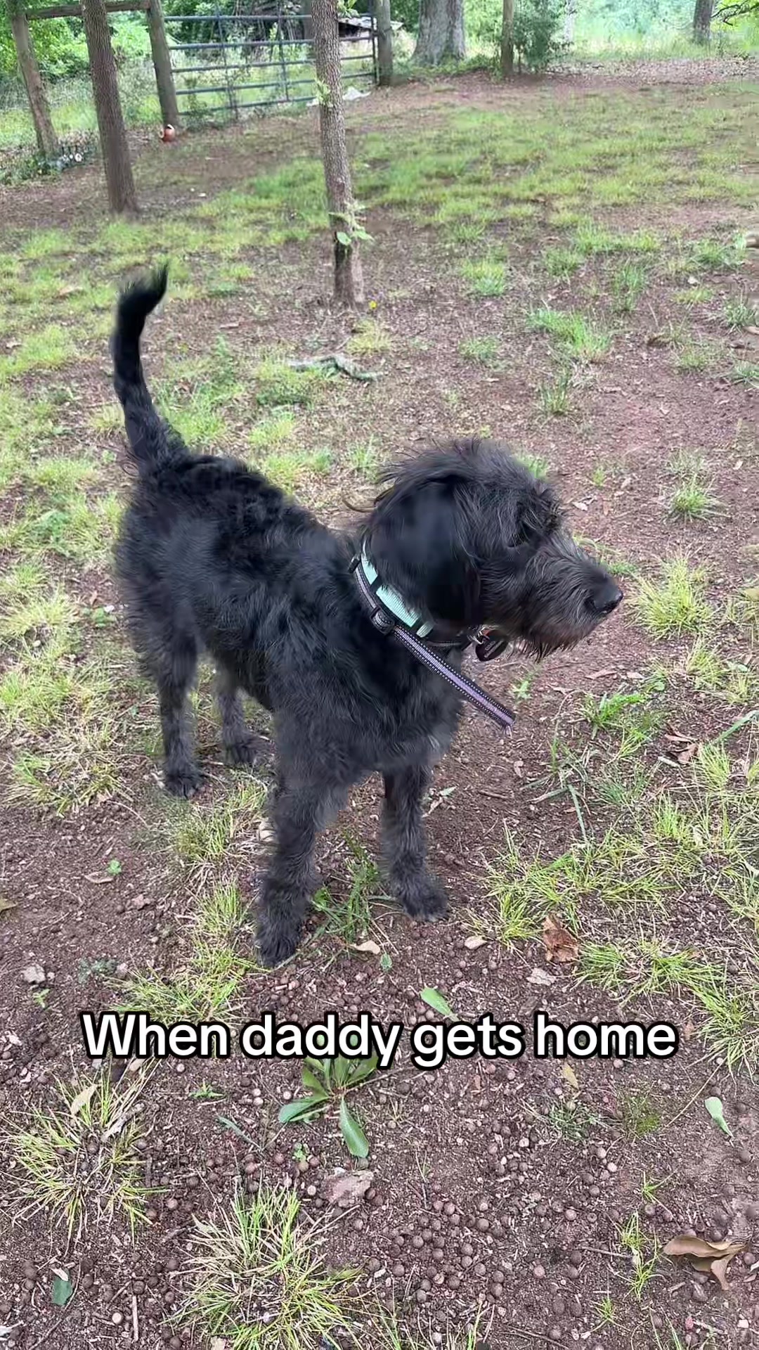 @Em