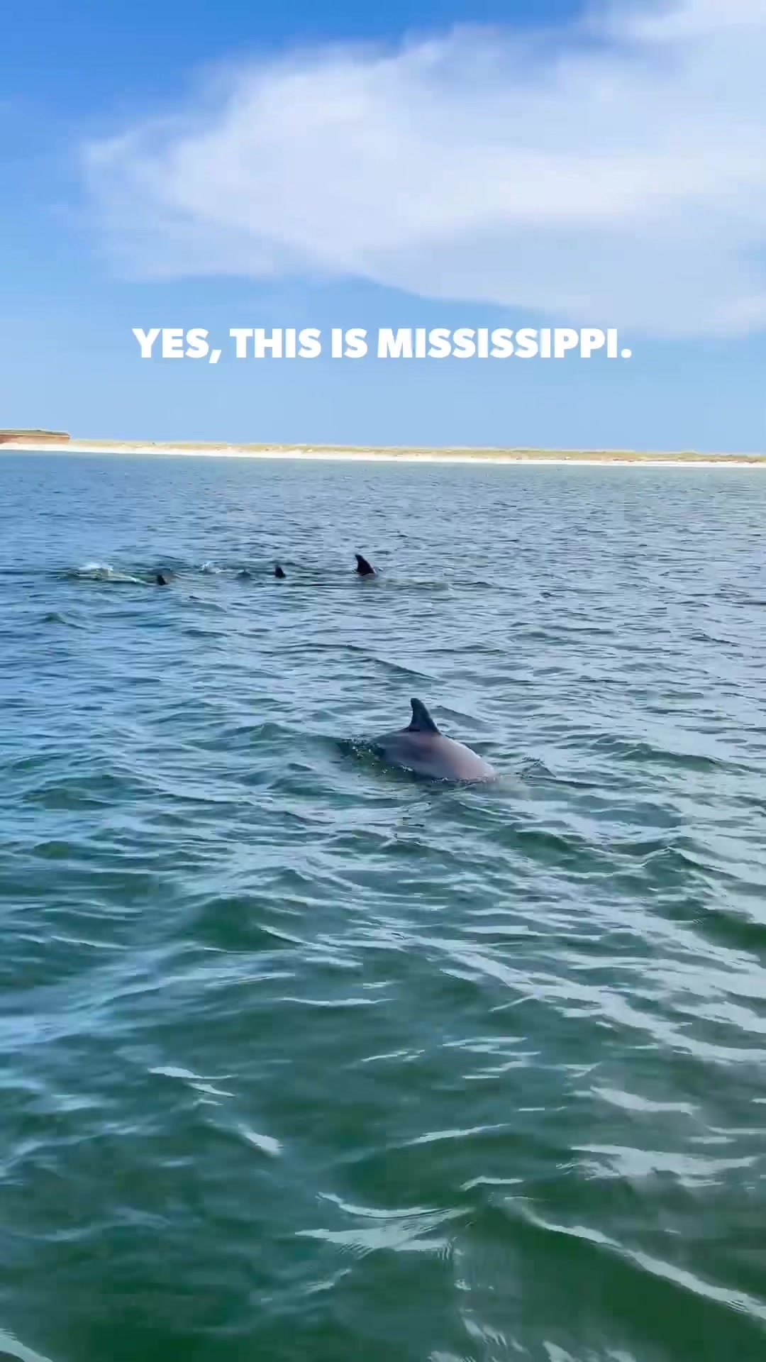 @Coastal Mississippi