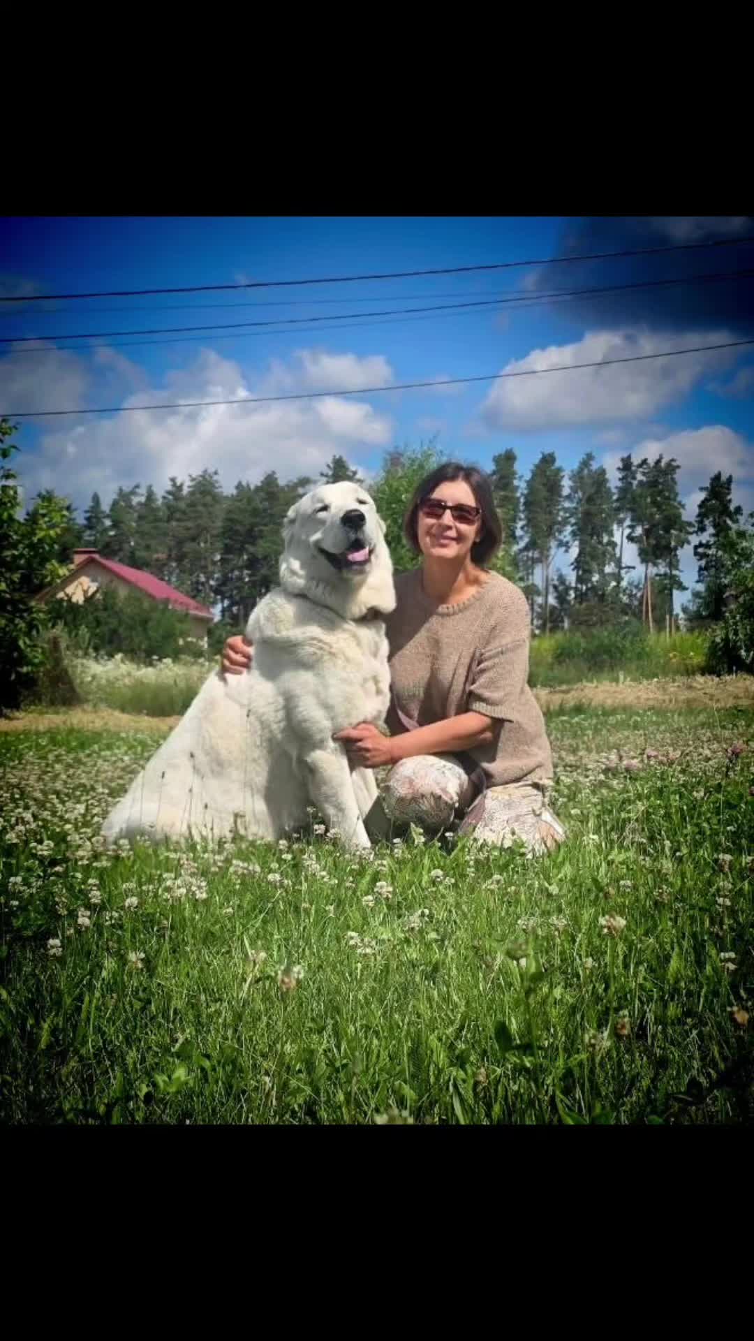 @ABELHAYATKENNEL