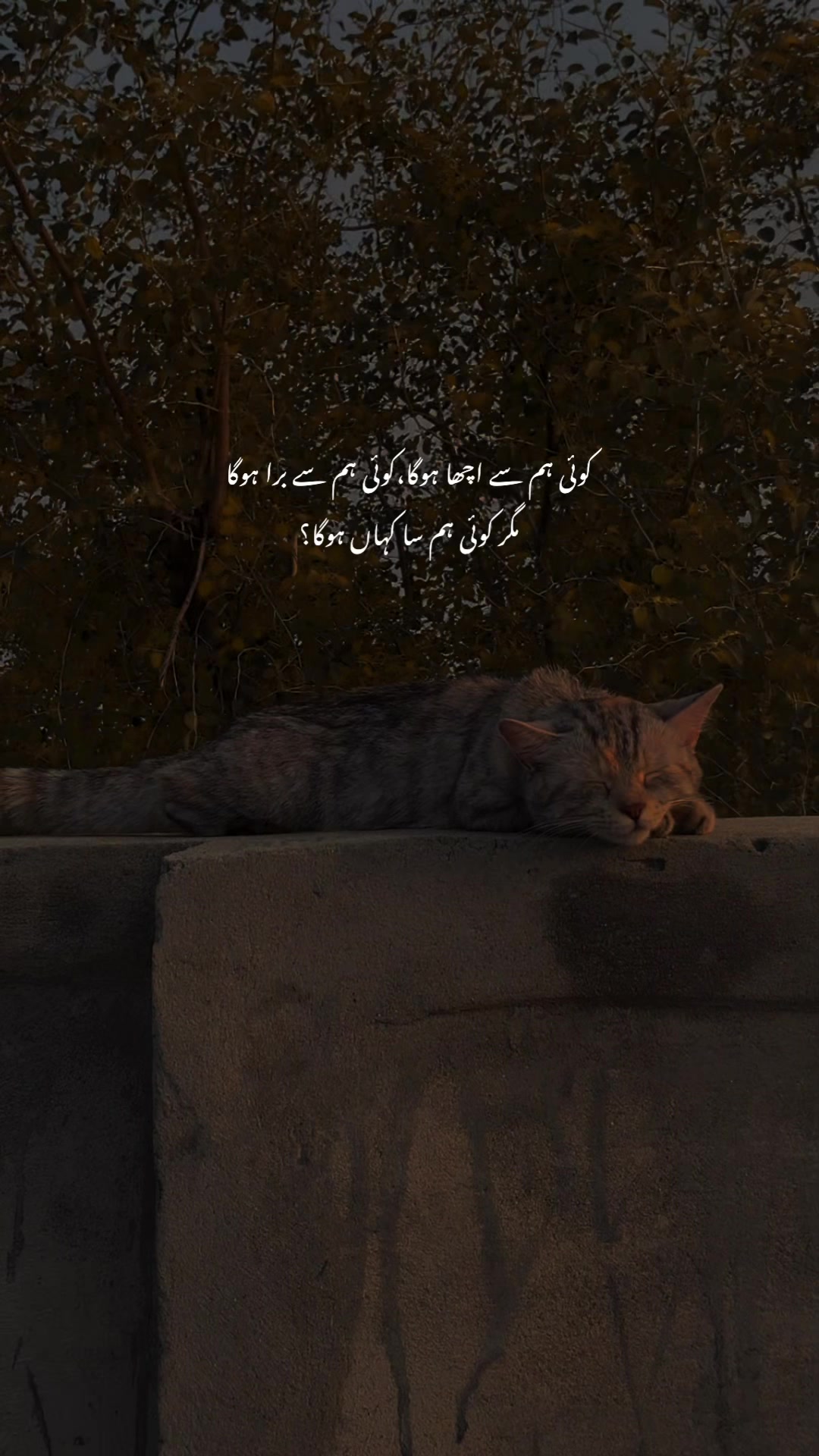@𝙇𝙤𝙨𝙩 𝙎𝙤𝙪𝙡 🎭