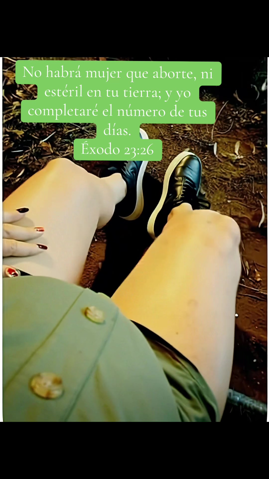 @MORE OFICIAL(🎙️)+504