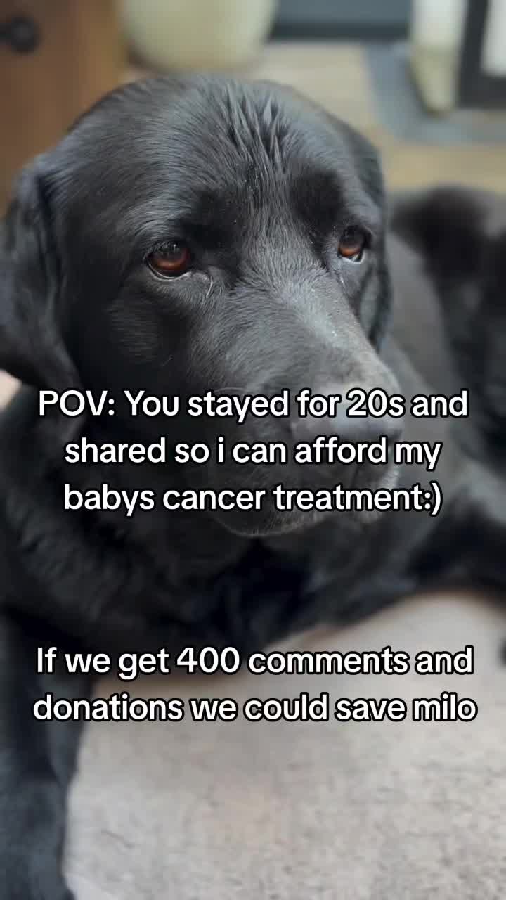 @pakrasj08