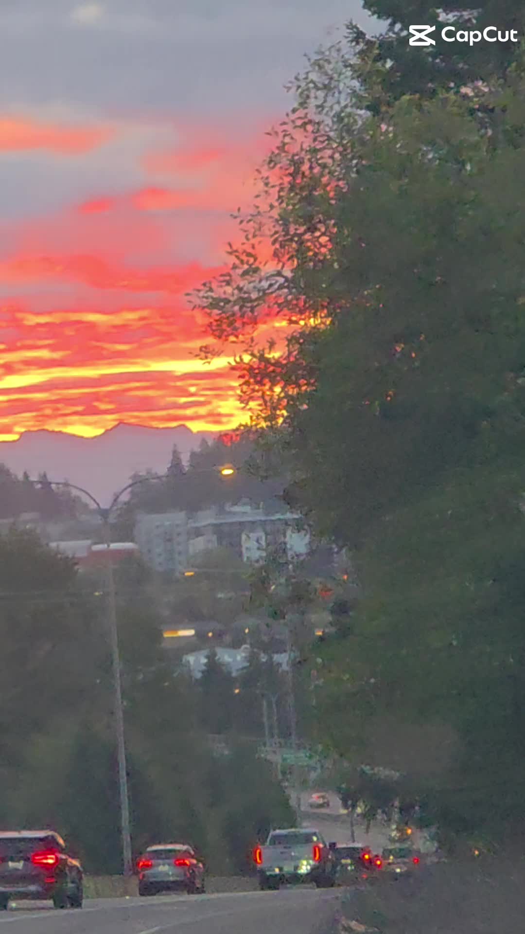 @ba ba black sheep.. pnw