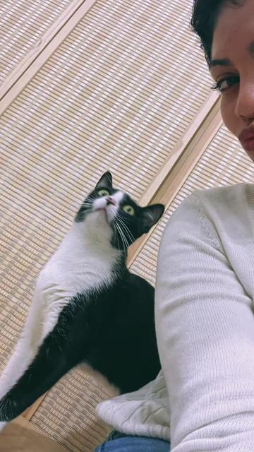 @🪷💗