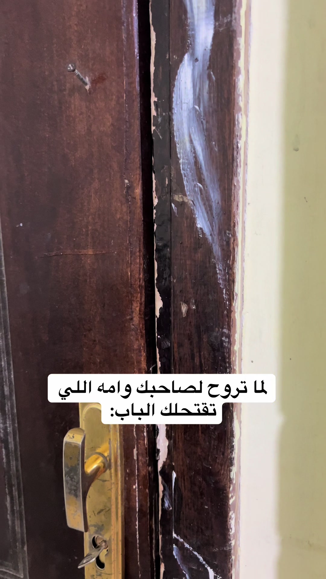 @احمد جمال ahmed gamal🎬
