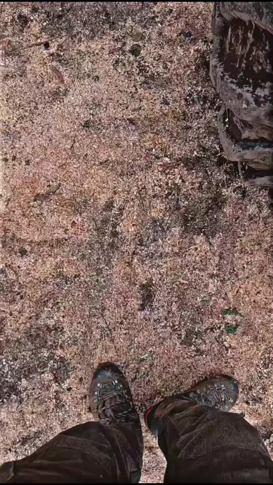 @holzbuby🌲🦺🪓