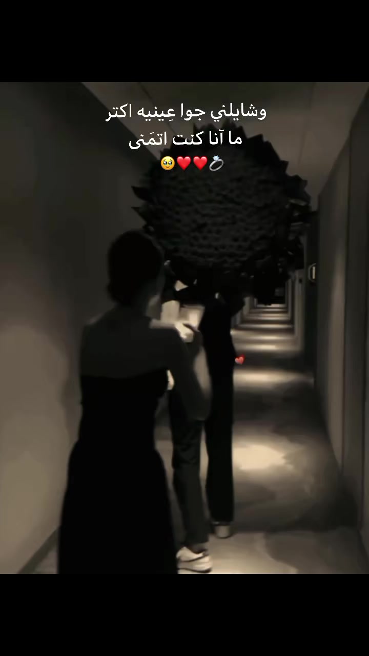 @تاريخ ال حلبي ١.📍🥷🏻 ً