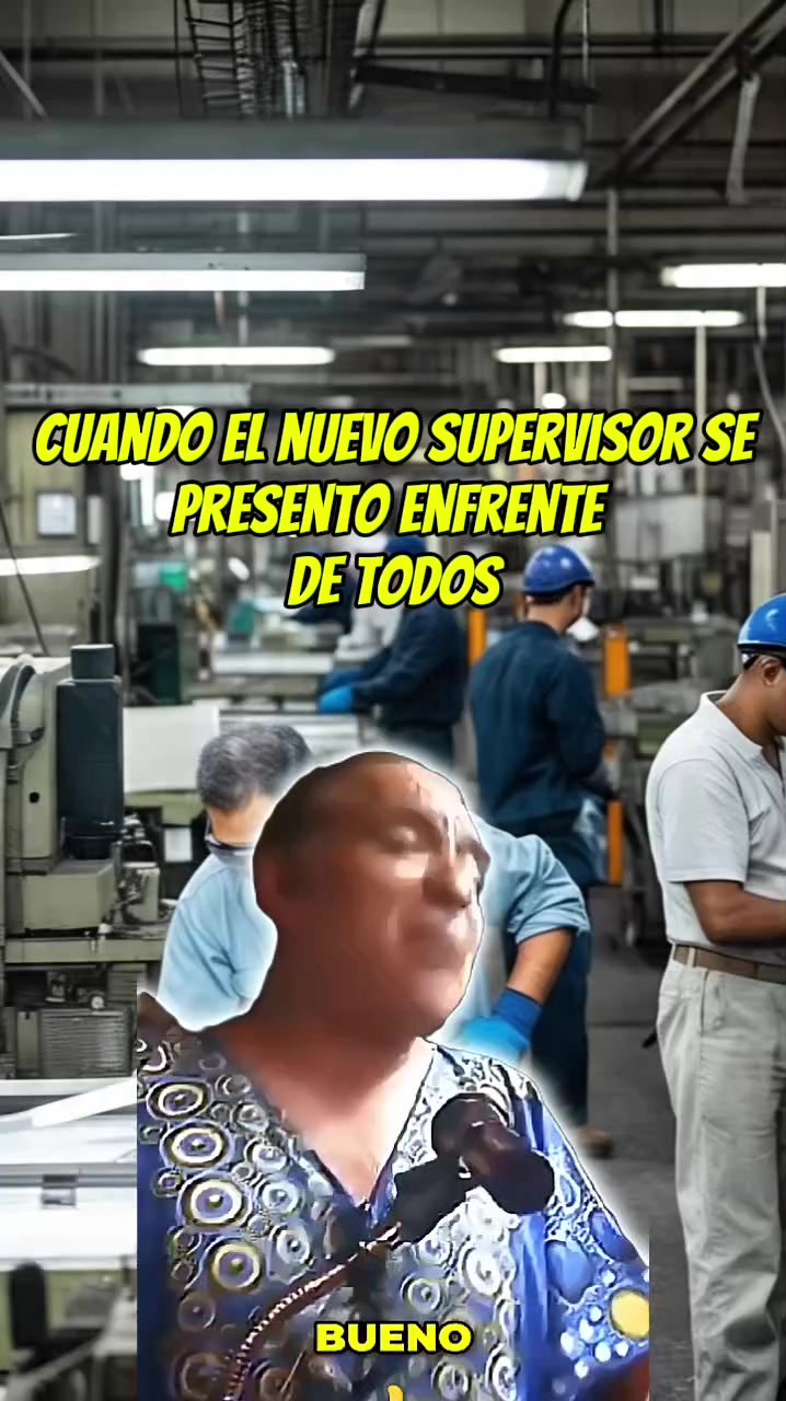 @apolo