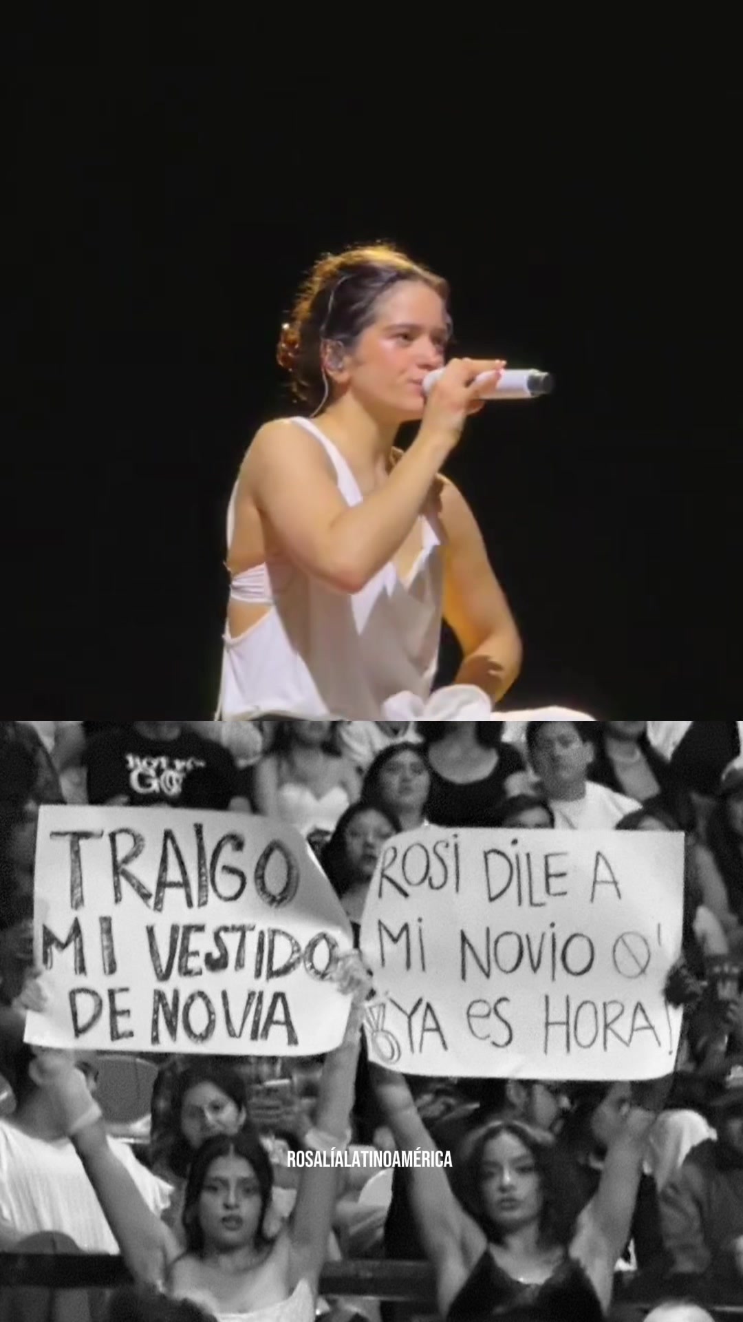 @rosalialatinoamerica