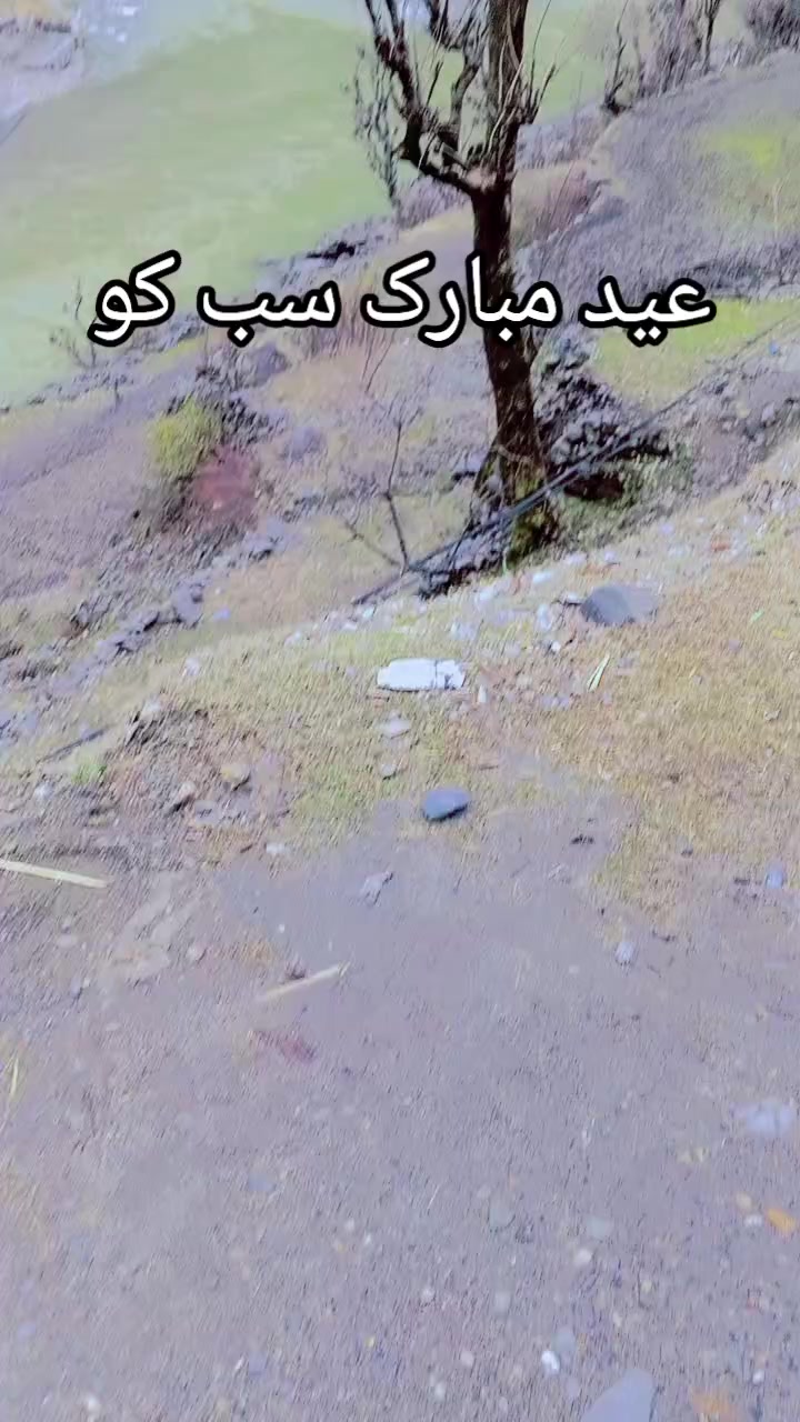 @kashmiri girl