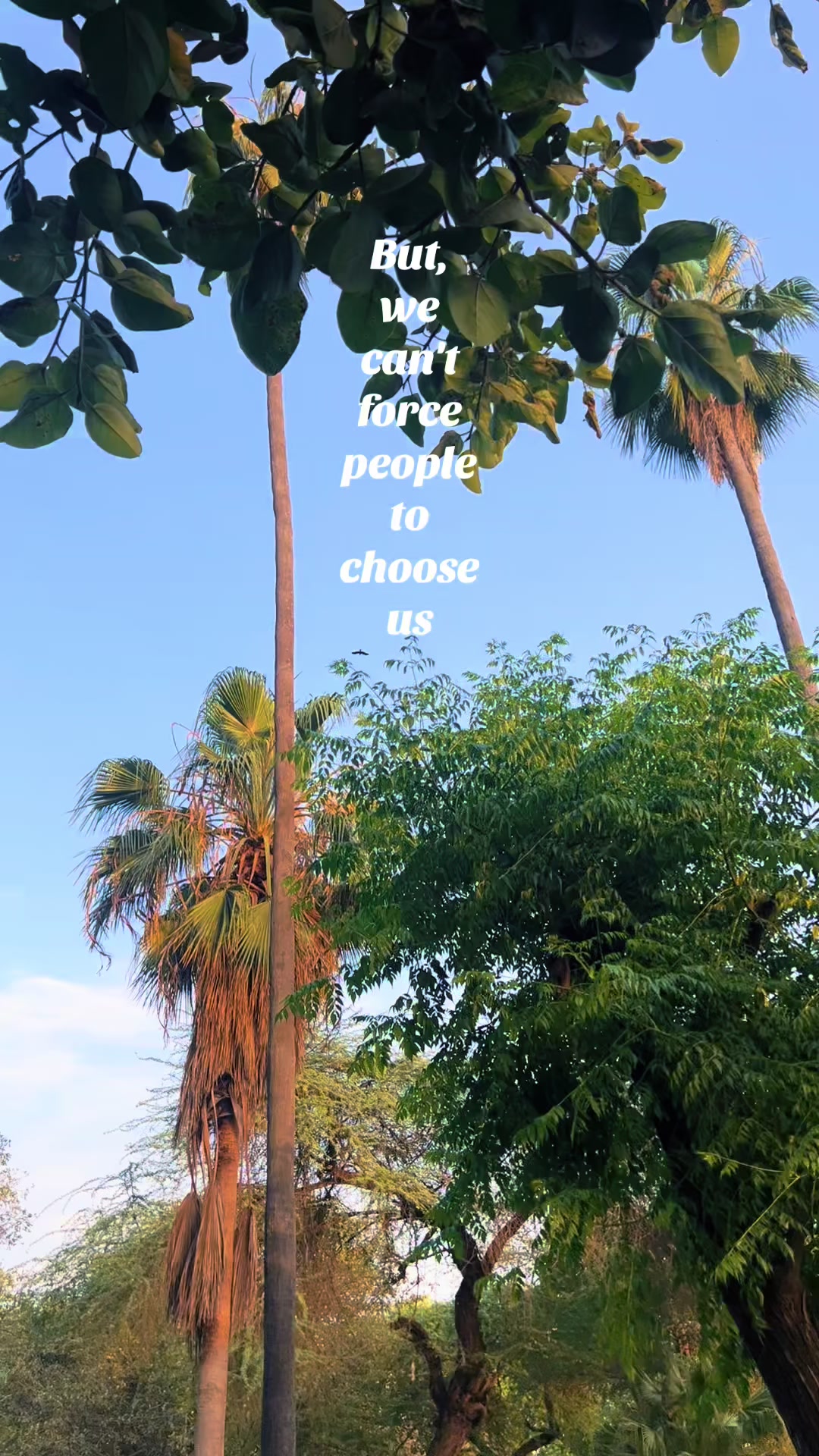 @Nooray🌙