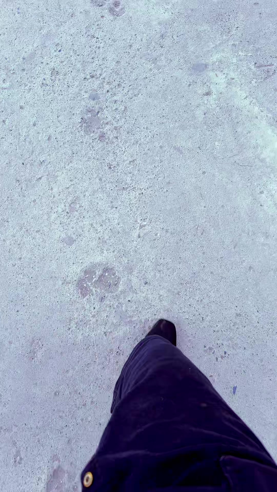 @zamonam