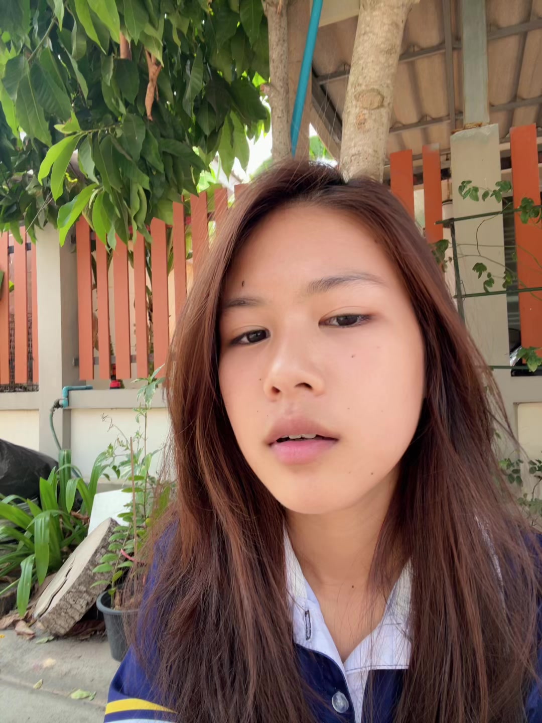 @ฟันเหล็กมานี่มา