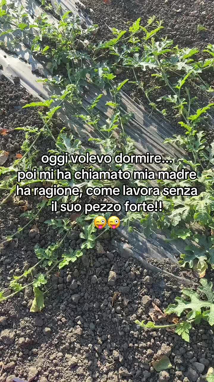 @Francesca Lettieri