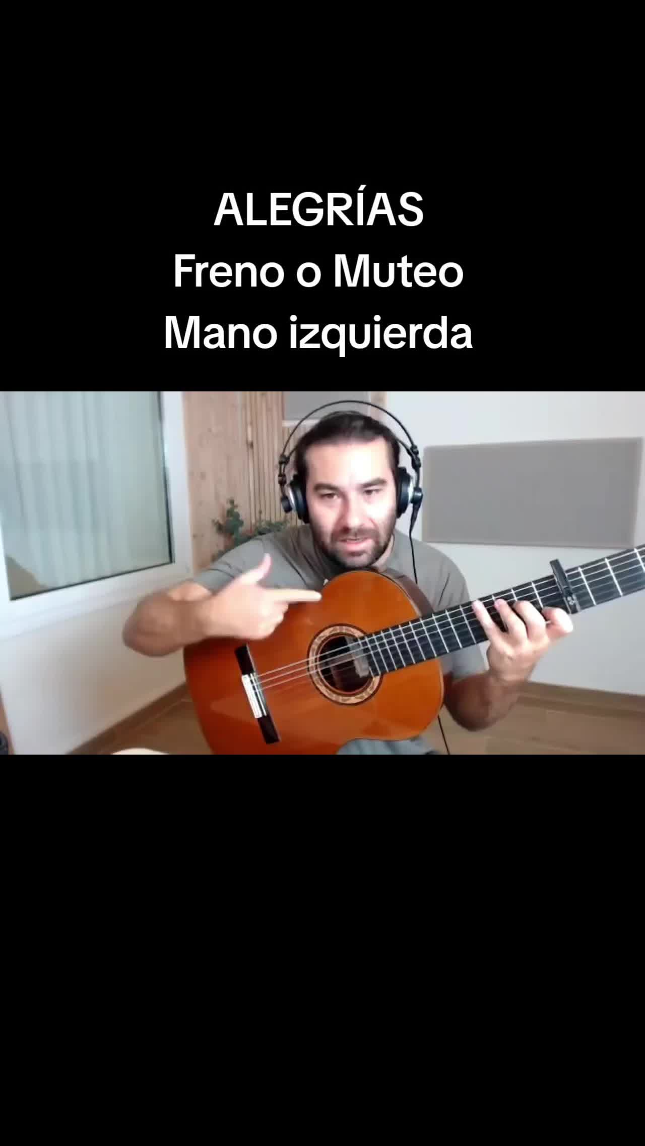 @guitarraflamencaonline.es