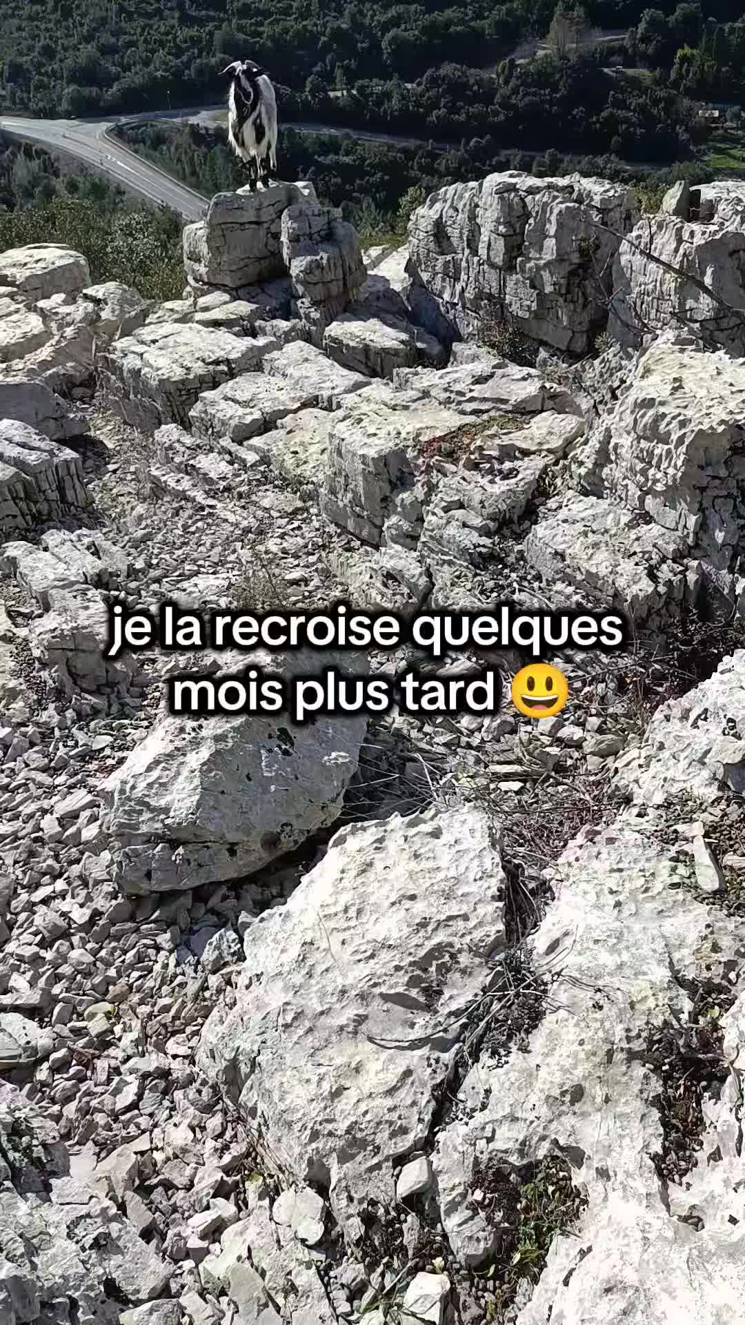 @DétecteurDeTrésor💥