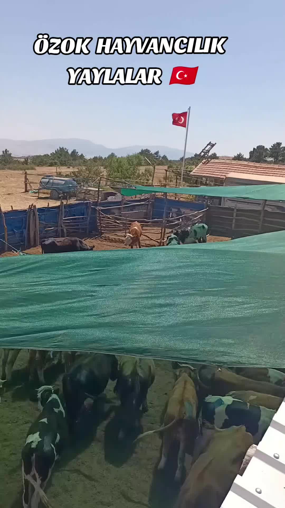 @Ali Özok