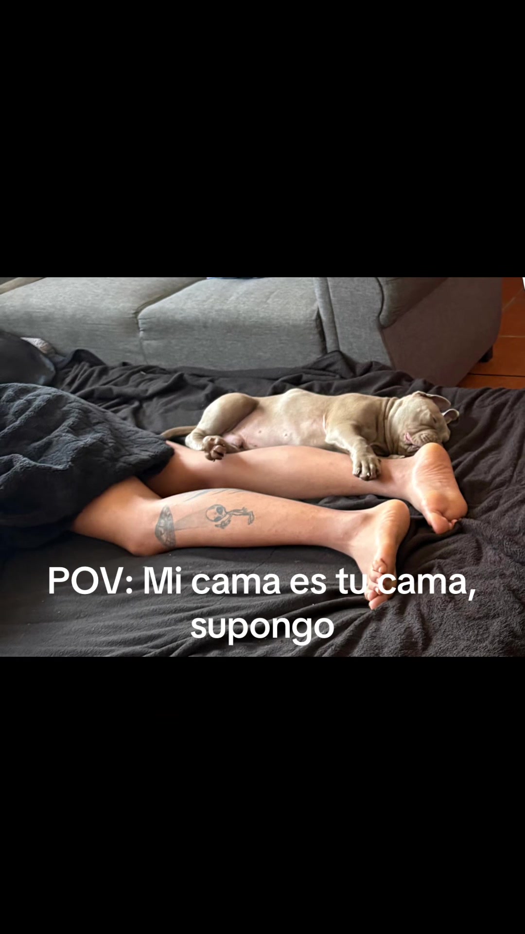 @Chanona