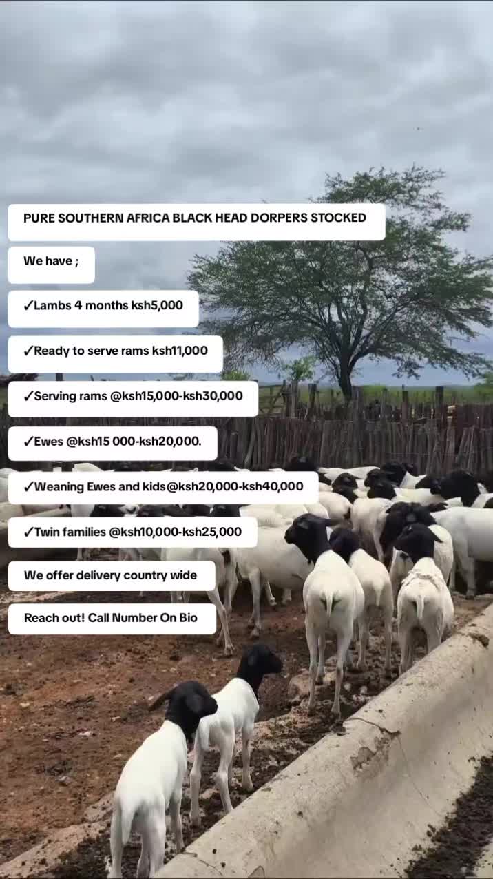 @Smart Farm Kenya