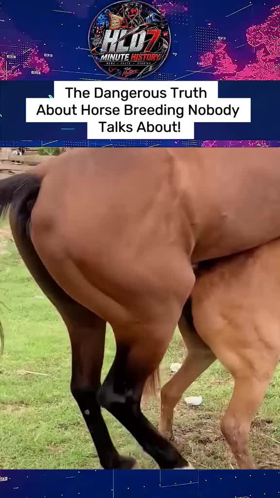 @animallifevideo