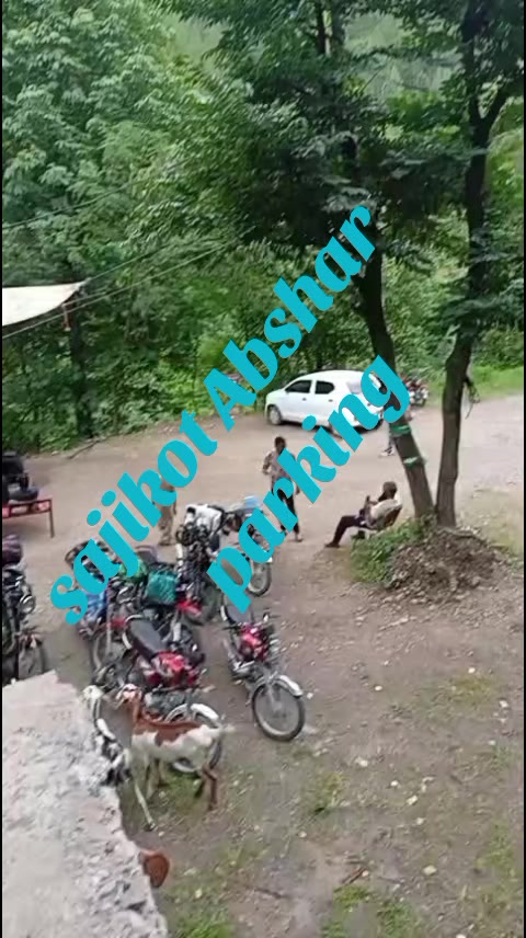 @muhammadsaddique8622