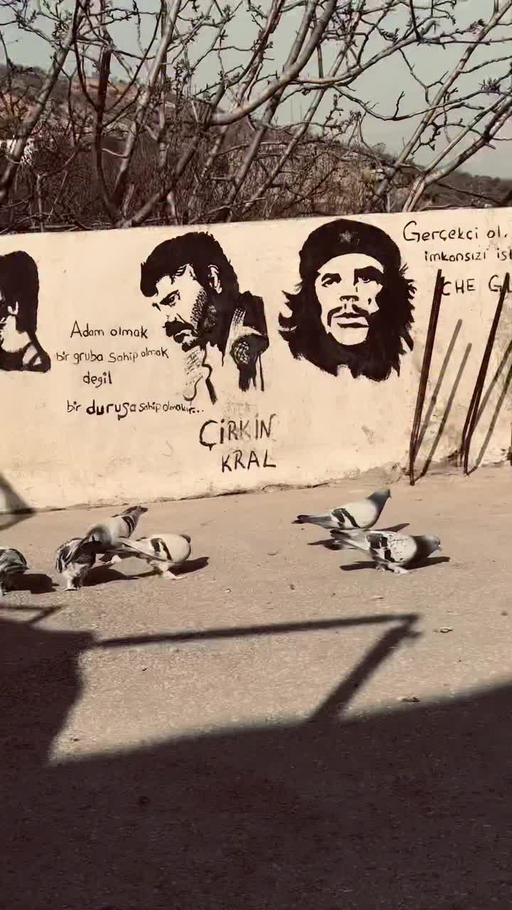 @Güler_4242