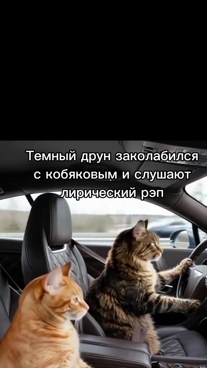 @Red pelmen 1347