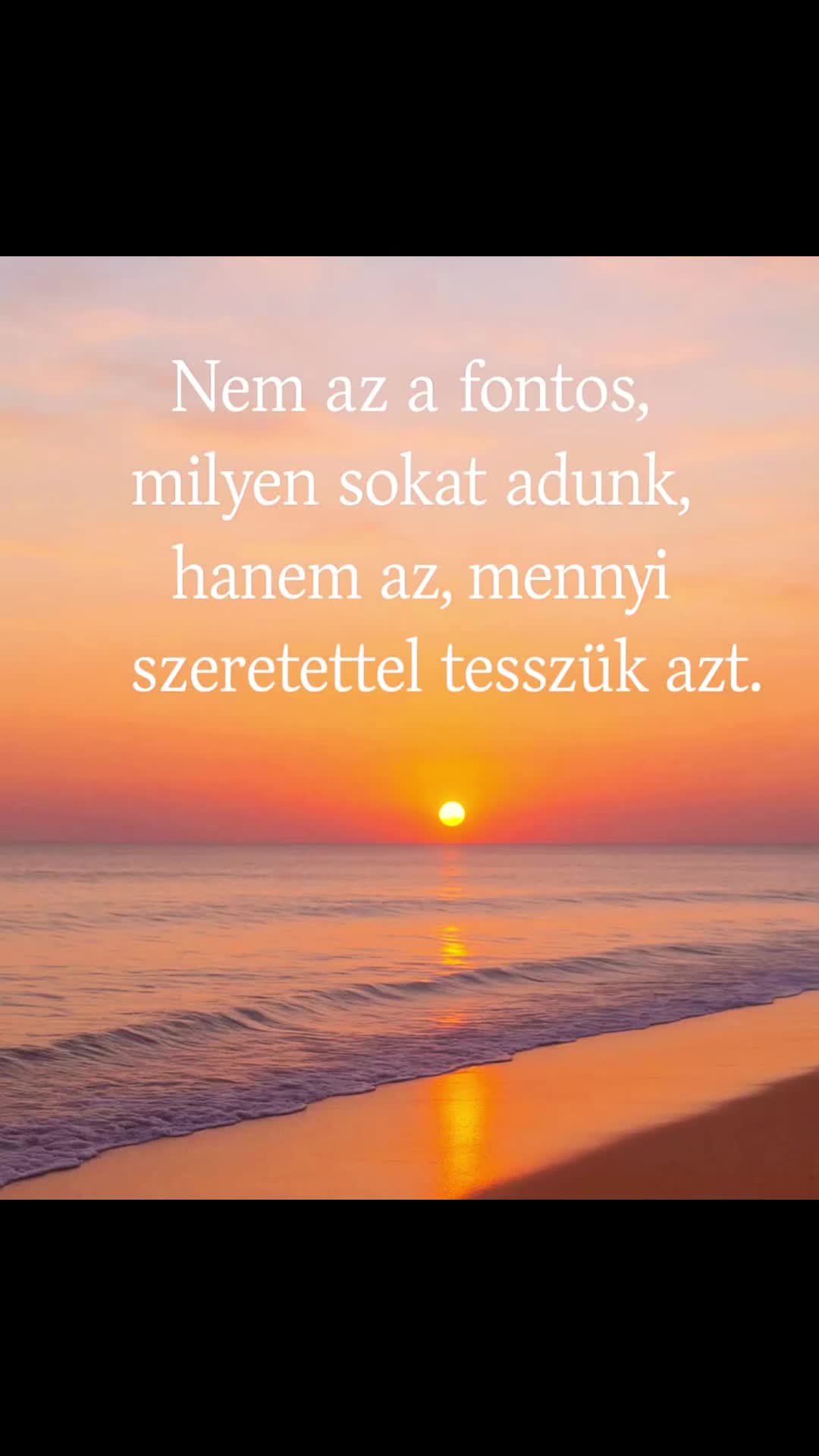 @Zsuzsanna Handrik