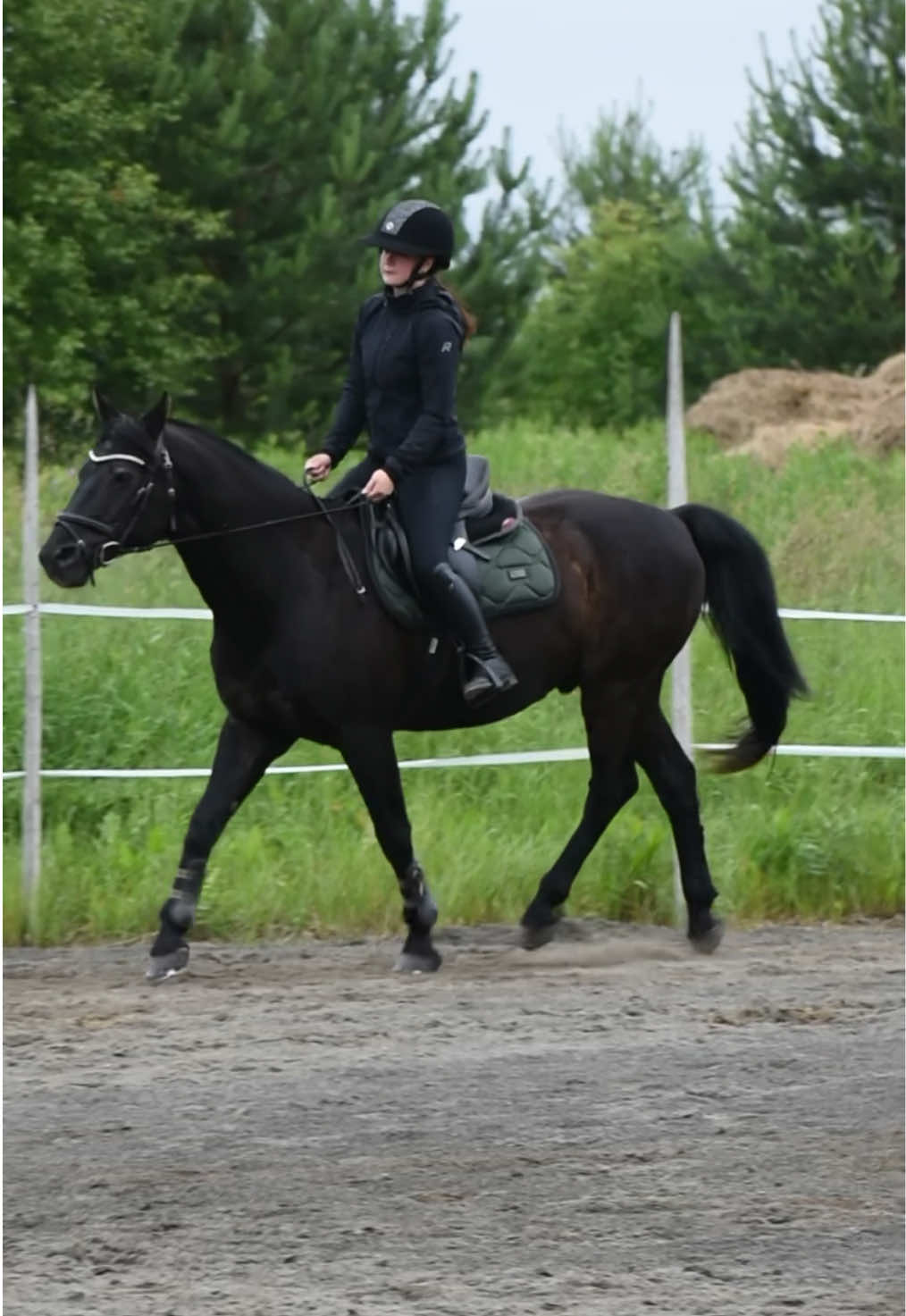 @krista || ig kayhkodressage