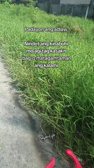 @KOL J.