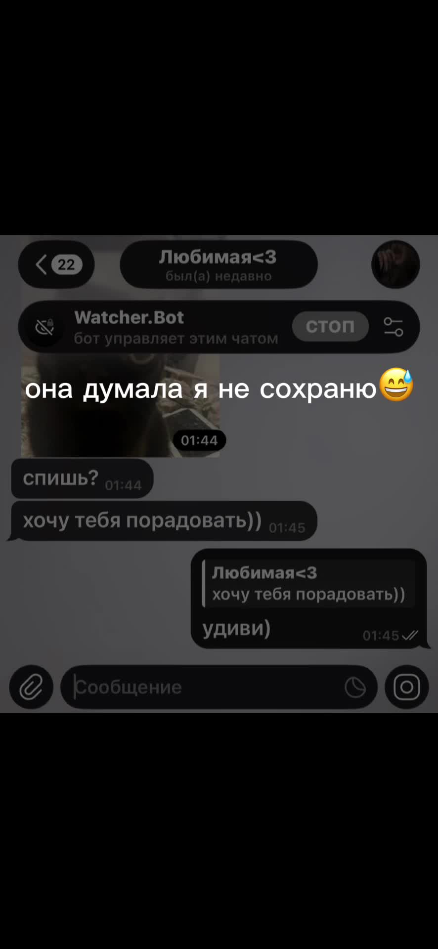 @Watcher.Bot