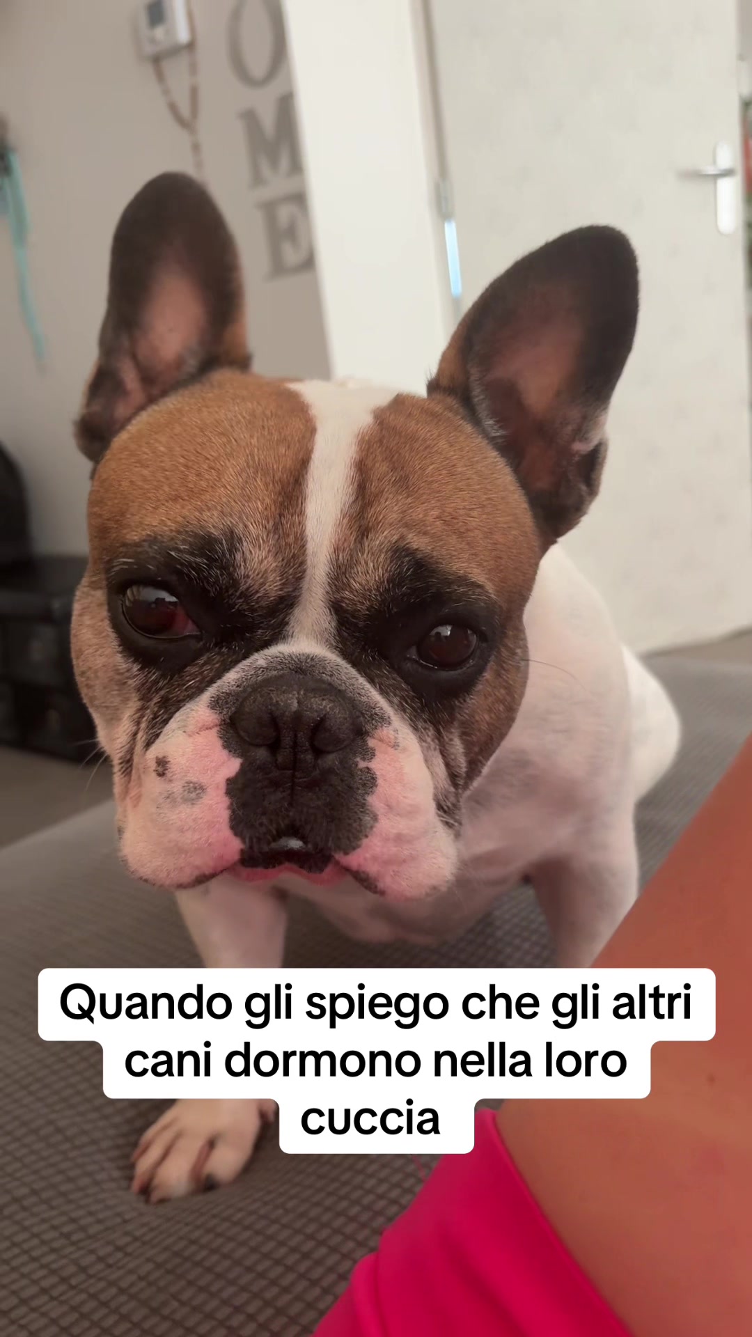 @Fabiola Parisi