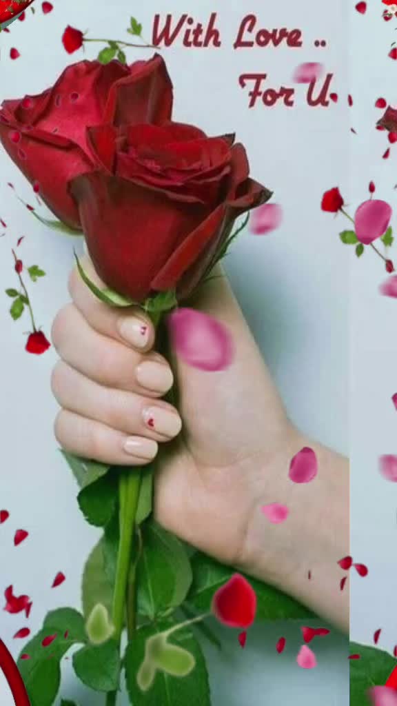 @Al Amin Howlader