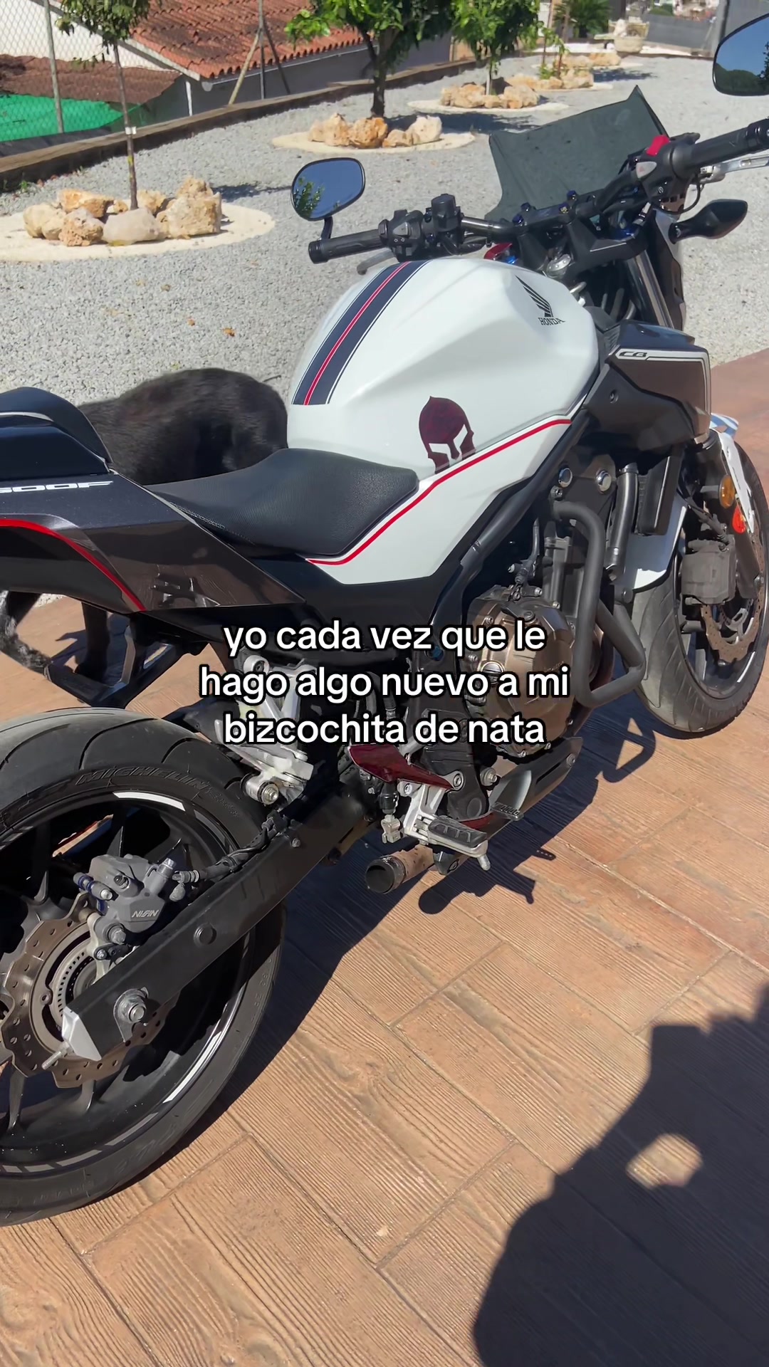 @alba_.alonso