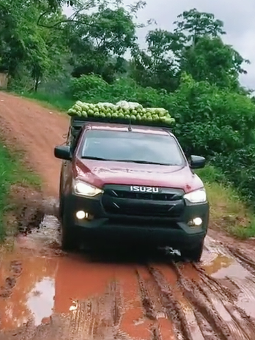 @Club Isuzu Dmax HN