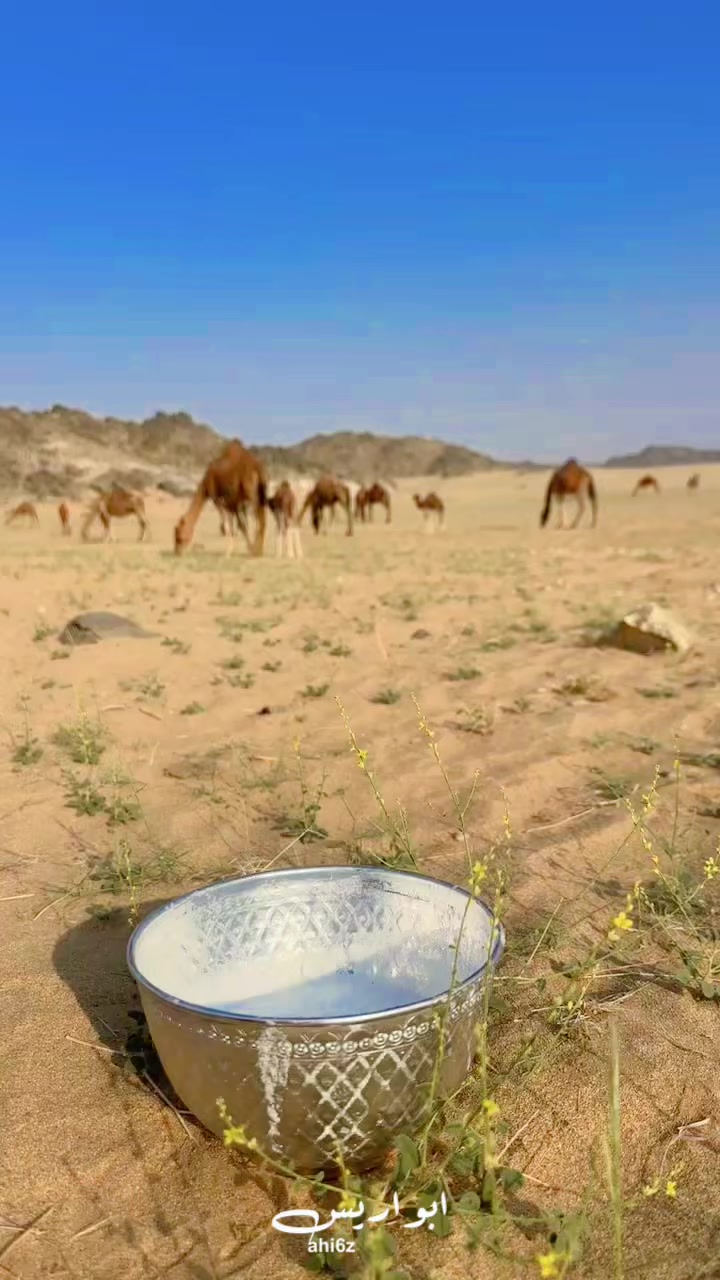 @أبــو أريـــس