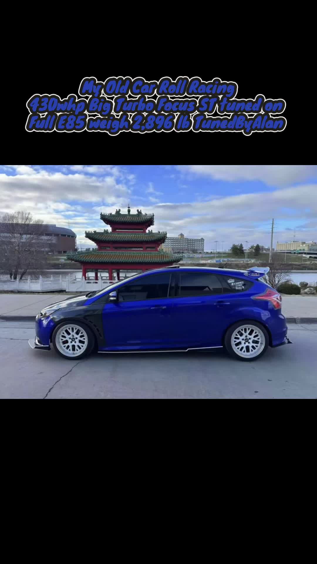 @LaVidaDeBori787PR🇵🇷🐺
