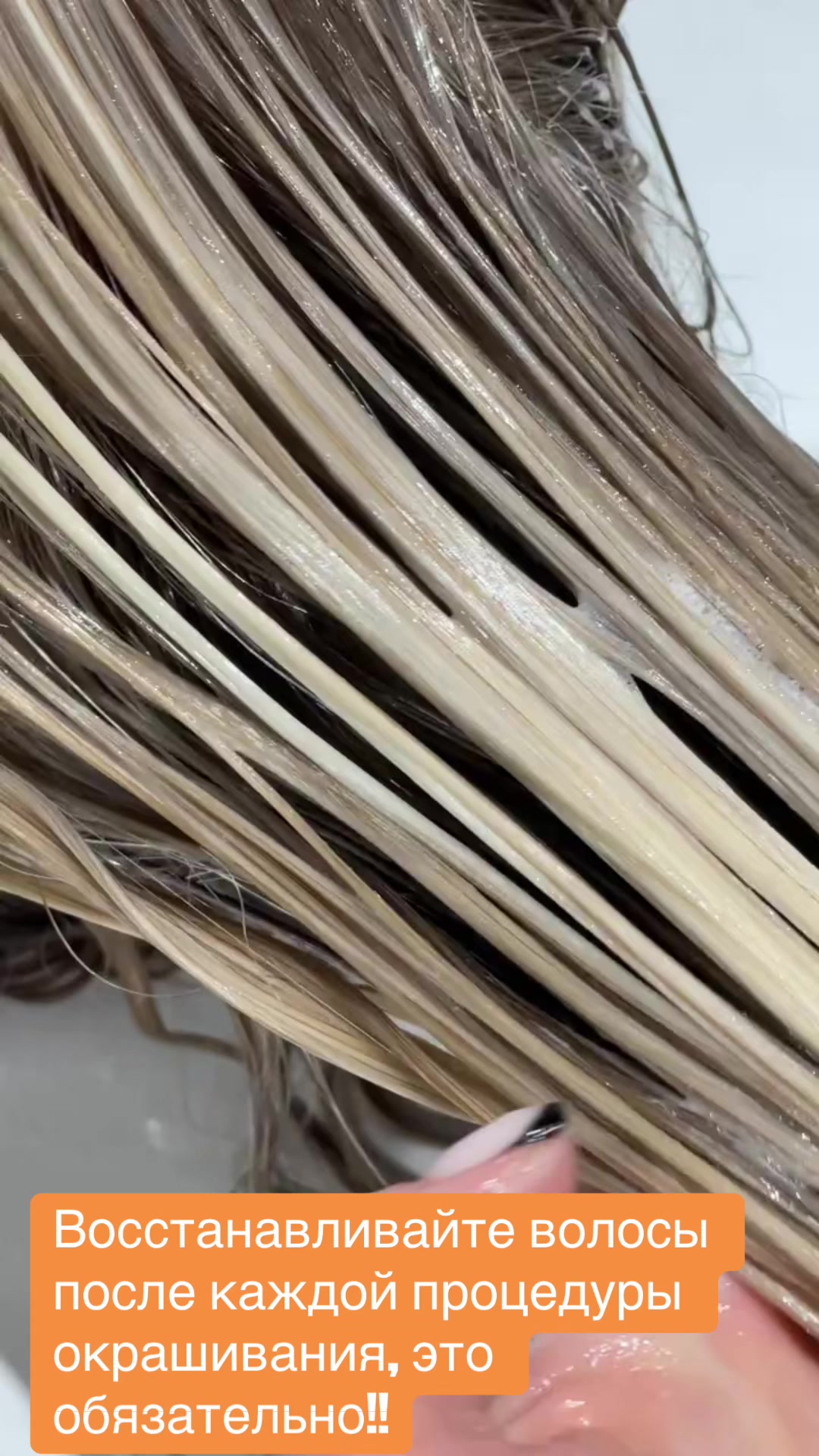 @sskamstudio