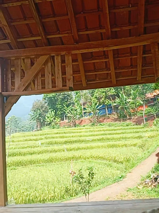@Telah mengikuti anda