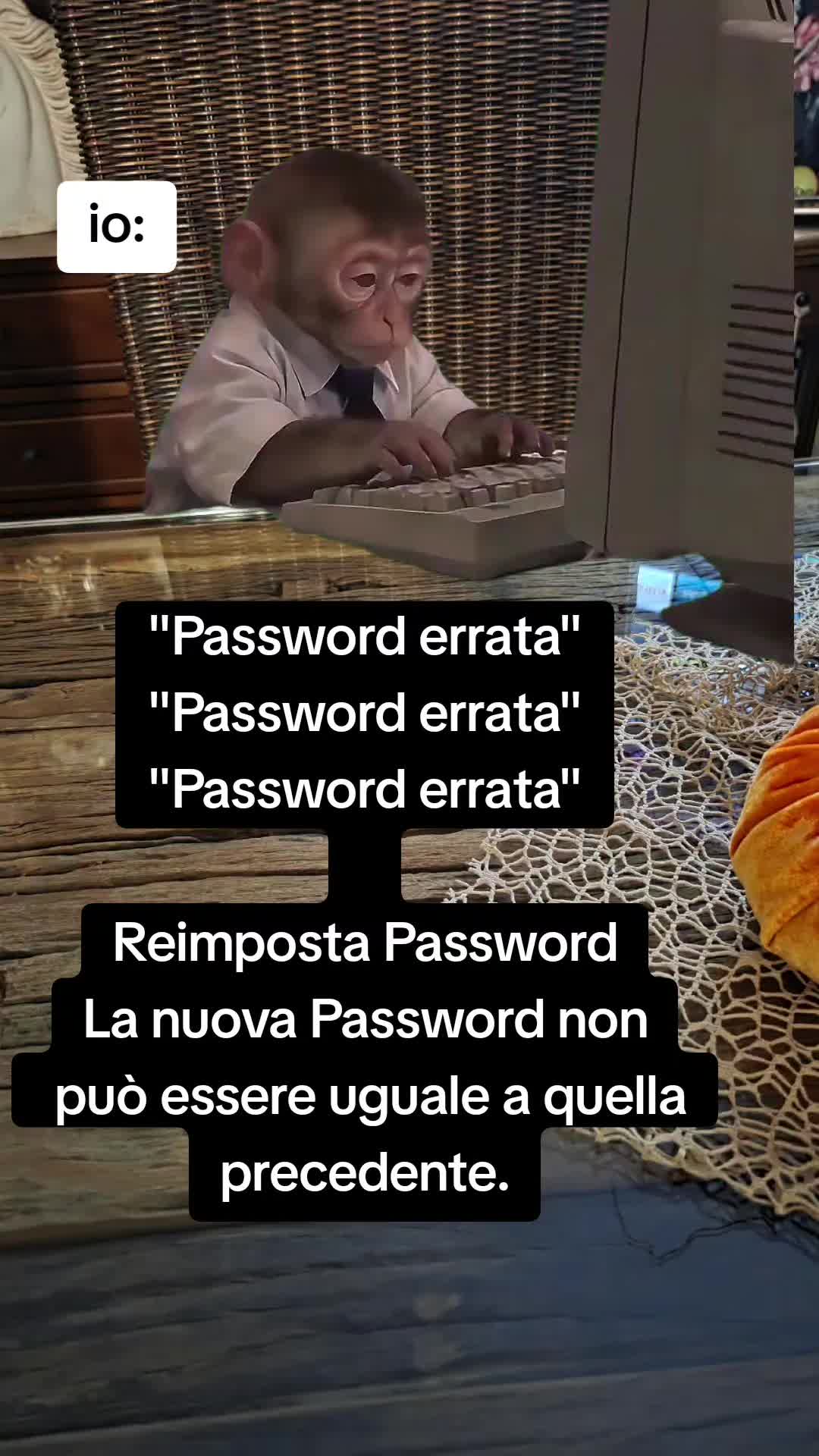@bambola
