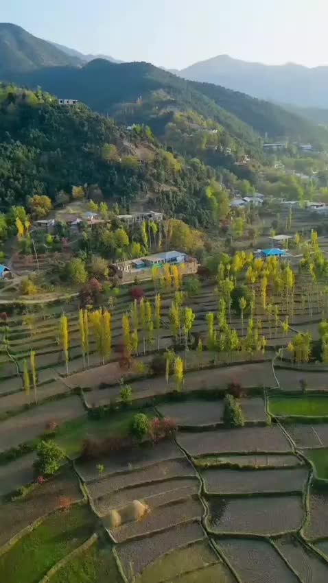 @Shahzadkhan804