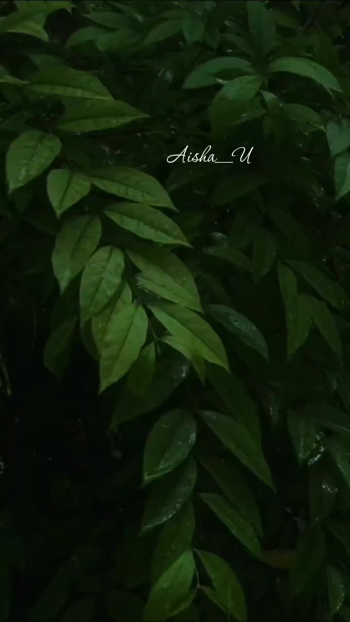 @Aisha_U