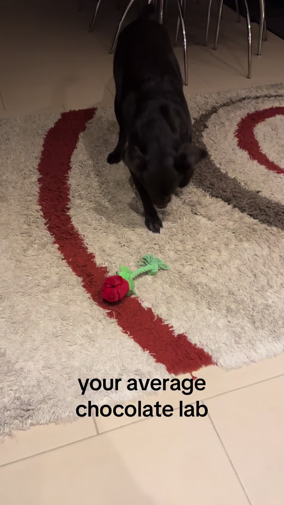 @oliii
