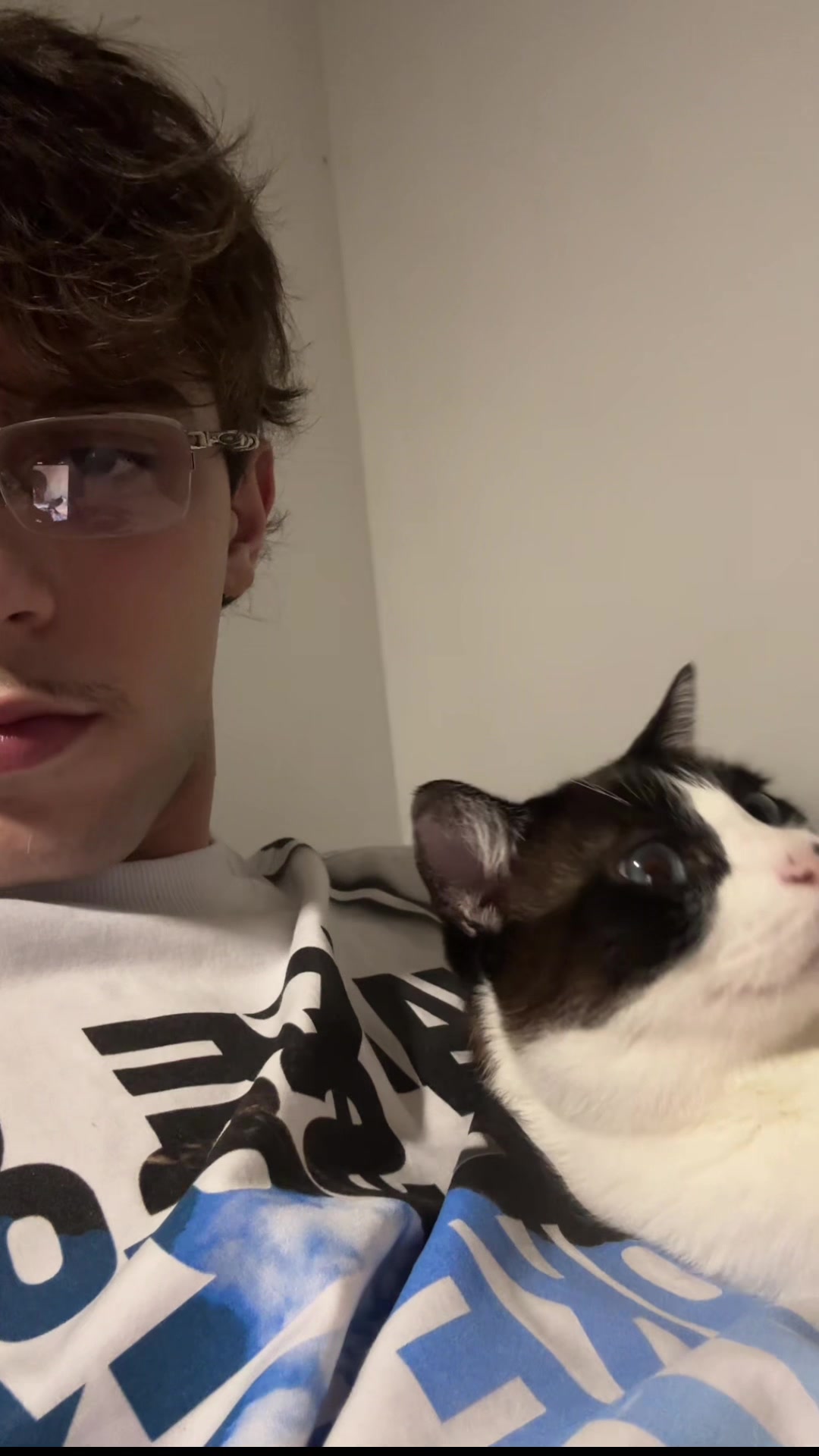 @chipvidareal