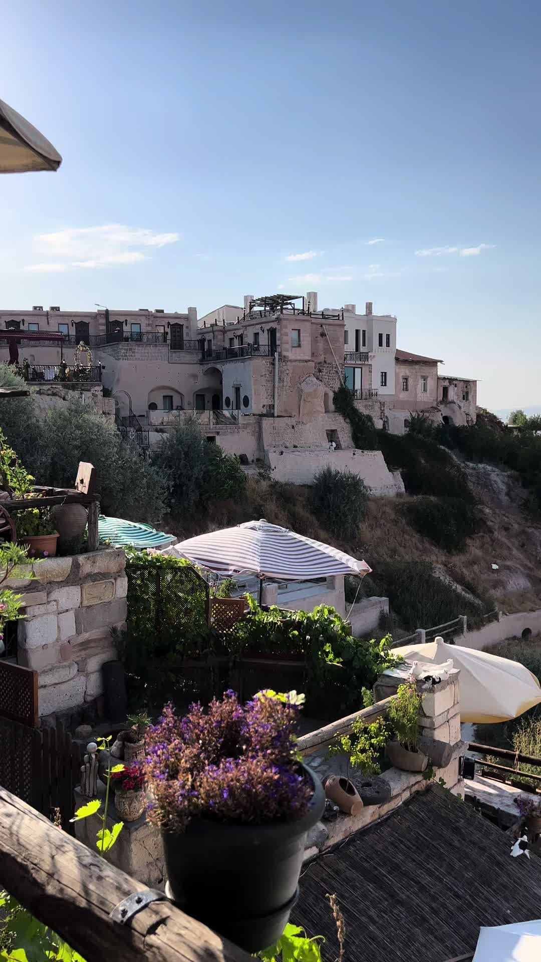 @Baki Sivari
