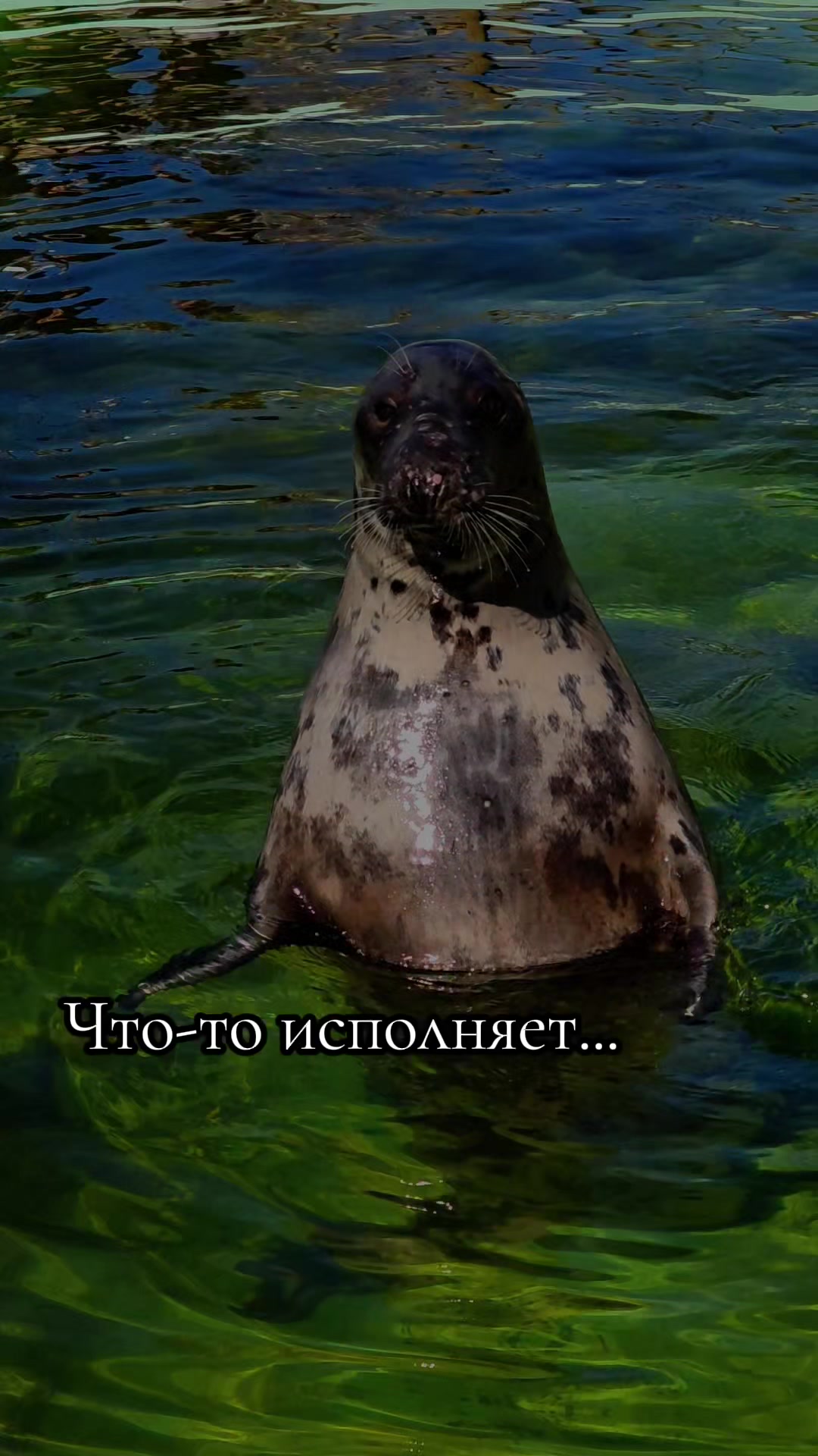 @Женька и Барсик🇱🇻
