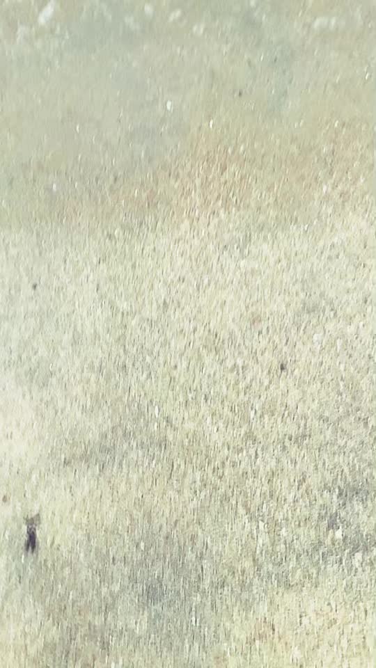 @Daniii🤍
