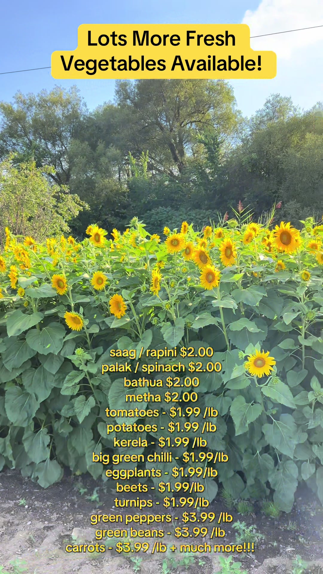 @GillFarm_Caledon
